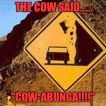 The Thrill | THE COW SAID..... "COW-ABUNGA!!!!" | image tagged in falling cows,memes,funny memes,funny,funny signs | made w/ Imgflip meme maker