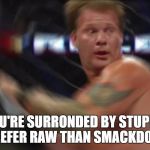 Chris Jericho Stupid Idiots | WHEN YOU'RE SURRONDED BY STUPID IDIOTS THAT PREFER RAW THAN SMACKDOWN LIVE | image tagged in chris jericho stupid idiots | made w/ Imgflip meme maker