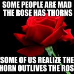 rose | SOME PEOPLE ARE MAD THE ROSE HAS THORNS; SOME OF US REALIZE THE THORN OUTLIVES THE ROSE. | image tagged in rose | made w/ Imgflip meme maker