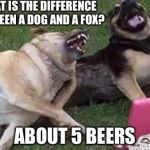 Dogs Laughing | WHAT IS THE DIFFERENCE BETWEEN A DOG AND A FOX? ABOUT 5 BEERS | image tagged in dogs laughing | made w/ Imgflip meme maker