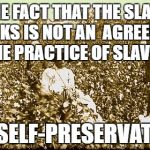 cotton slaves | THE FACT THAT THE SLAVE WORKS IS NOT AN  AGREEMENT TO THE PRACTICE OF SLAVERY... IT'S SELF-PRESERVATION | image tagged in cotton slaves | made w/ Imgflip meme maker
