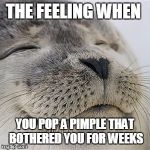 Satisfied seal | THE FEELING WHEN; YOU POP A PIMPLE THAT BOTHERED YOU FOR WEEKS | image tagged in satisfied seal | made w/ Imgflip meme maker