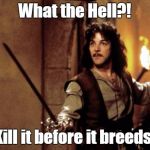 Princess bride | What the Hell?! Kill it before it breeds! | image tagged in princess bride | made w/ Imgflip meme maker