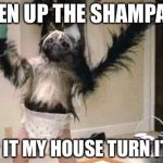 Puppy monkey baby | OPEN UP THE SHAMPANE; POP IT MY HOUSE
TURN IT UP | image tagged in puppy monkey baby | made w/ Imgflip meme maker