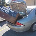 Organ trunk meme