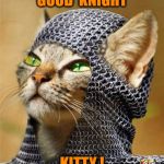 Kitty Knight | GOOD  KNIGHT; KITTY ! | image tagged in kitty knight | made w/ Imgflip meme maker