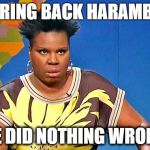 Bring Back Harambe | BRING BACK HARAMBE; HE DID NOTHING WRONG | image tagged in bring back harambe | made w/ Imgflip meme maker