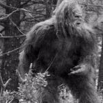 Big foot | ALWAYS ON THE RUN; AND NO INTERNET | image tagged in big foot | made w/ Imgflip meme maker