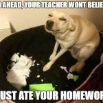 She wont believe you | GO AHEAD, YOUR TEACHER WONT BELIEVE; I JUST ATE YOUR HOMEWORK | image tagged in dog homework | made w/ Imgflip meme maker