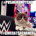 wwwe grumpy cat | #PUSHGRUMPYCAT; #GIVECATSACHANCE | image tagged in wwwe grumpy cat | made w/ Imgflip meme maker