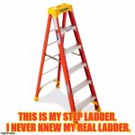 Step Ladder | THIS IS MY STEP LADDER. I NEVER KNEW MY REAL LADDER. | image tagged in step ladder | made w/ Imgflip meme maker