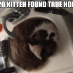 Cat in sink | H20 KITTEH FOUND TRUE HOME | image tagged in cat in sink | made w/ Imgflip meme maker