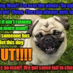 Happy pug | Yep, Man!!  I'm over the whole "So ugly I'm cute" thing.  The rain always gets to me. But it ain't raining no more man!! And someone has let this dog; OUT!!!! Let's go man!!  We got some tail to chase!! | image tagged in happy pug | made w/ Imgflip meme maker