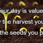 seeds | Your day is valued; Not by the harvest you reap, But the seeds you plant. | image tagged in seeds | made w/ Imgflip meme maker