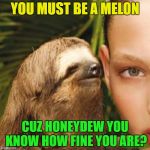 Whisper Sloth Fruity Pick Up Lines (Fruit Week - A 123Guy Event - May 8-14) | YOU MUST BE A MELON; CUZ HONEYDEW YOU KNOW HOW FINE YOU ARE? | image tagged in sloth whisper,memes,fruit week,pick up lines | made w/ Imgflip meme maker