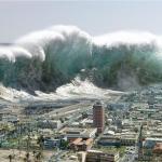 Tsunami Momentum