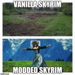 Skyrim:Before and After | VANILLA SKYRIM; MODDED SKYRIM | image tagged in skyrim | made w/ Imgflip meme maker