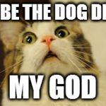 Surpised Cat | GABE THE DOG DIED; MY GOD | image tagged in surpised cat | made w/ Imgflip meme maker