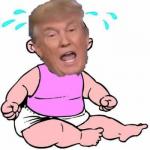 Crybaby Trump meme