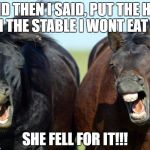 Horses | AND THEN I SAID, PUT THE HAY IN THE STABLE I WONT EAT IT; SHE FELL FOR IT!!! | image tagged in horses | made w/ Imgflip meme maker