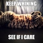 Careless cat | KEEP WHINING; SEE IF I CARE | image tagged in careless cat | made w/ Imgflip meme maker