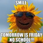 Cool sunflower | SMILE; TOMORROW IS FRIDAY NO SCHOOL!!! | image tagged in cool sunflower | made w/ Imgflip meme maker