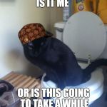 cat toliet | IS IT ME; OR IS THIS GOING TO TAKE A WHILE | image tagged in cat toliet,scumbag | made w/ Imgflip meme maker