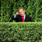 Spicer bush