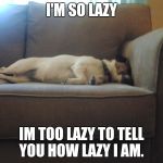 Sleepy Dog | I'M SO LAZY; IM TOO LAZY TO TELL YOU HOW LAZY I AM. | image tagged in sleepy dog | made w/ Imgflip meme maker