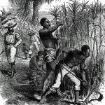 Plantation Slaves