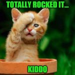 Cat fail | TOTALLY ROCKED IT... KIDDO | image tagged in cat fail | made w/ Imgflip meme maker