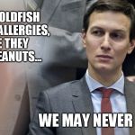 Kushner Thinking - goldfish | MAYBE ALL GOLDFISH HAVE PEANUT ALLERGIES, BUT SINCE THEY NEVER EAT PEANUTS... WE MAY NEVER KNOW | image tagged in kushner thinking | made w/ Imgflip meme maker