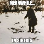 Wild drones in Siberia! They suffer too! Have a heart! | MEANWHILE... IN SIBERIA | image tagged in babushka and wild drones | made w/ Imgflip meme maker