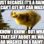 WTF Duckling | JUST BECAUSE IT'S A RAINY DAY I CAN'T GET MY CAR WASHED?? I KNOW I KNOW - BUT WHAT DOES THAT SAY ABOUT ME WANTING MY CAR WASHED ON A RAINY DAY? | image tagged in wtf duckling | made w/ Imgflip meme maker