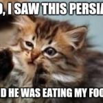 Alien cat | SO, I SAW THIS PERSIAN; AND HE WAS EATING MY FOOD! | image tagged in alien cat | made w/ Imgflip meme maker
