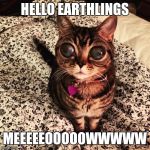 Alien Cat Poosh | HELLO EARTHLINGS; MEEEEEOOOOOWWWWW | image tagged in alien cat poosh,memes | made w/ Imgflip meme maker