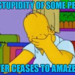 Homer facepalm | THE STUPIDITY OF SOME PEOPLE NEVER CEASES TO AMAZE ME | image tagged in homer facepalm | made w/ Imgflip meme maker