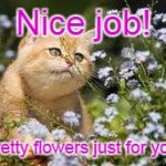 Meow flowers | Nice job! Pretty flowers just for you! | image tagged in meow flowers | made w/ Imgflip meme maker