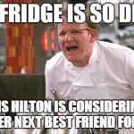 Gordon Ramsey | THE FRIDGE IS SO DIRTY; PARIS HILTON IS CONSIDERING IT FOR HER NEXT BEST FRIEND FOREVER! | image tagged in gordon ramsey | made w/ Imgflip meme maker
