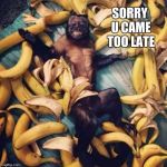 monkey bananas | SORRY U CAME TOO LATE | image tagged in monkey bananas | made w/ Imgflip meme maker