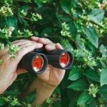 Creepy Guy in the bushes with Binoculars 