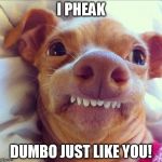 tuna dog | I PHEAK; DUMBO JUST LIKE YOU! | image tagged in tuna dog | made w/ Imgflip meme maker