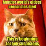 Suspicious Cat | Another world's oldest person has died; This is beginning to look suspicious | image tagged in memes,suspicious cat | made w/ Imgflip meme maker