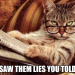 Cat reading news | SAW THEM LIES YOU TOLD | image tagged in cat reading news | made w/ Imgflip meme maker