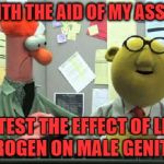 muppets  | AND WITH THE AID OF MY ASSISTANT; LETS TEST THE EFFECT OF LIQUID HYDROGEN ON MALE GENITALIA | image tagged in muppets | made w/ Imgflip meme maker