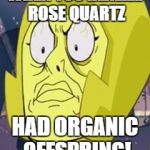 Yellow Diamond Face | WHEN YOU REALIZE ROSE QUARTZ; HAD ORGANIC OFFSPRING! | image tagged in yellow diamond face,memes | made w/ Imgflip meme maker