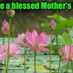 To my fellow mommy flippers.... | Have a blessed Mother's Day | image tagged in lotus flowers high in air | made w/ Imgflip meme maker