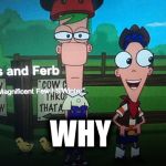Phineas and ferb | WHY | image tagged in phineas and ferb | made w/ Imgflip meme maker