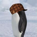 I don't know, I was bored & found this. | image tagged in whale penguin,scumbag | made w/ Imgflip meme maker