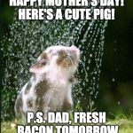 Make everyone happy! | HAPPY MOTHER'S DAY! HERE'S A CUTE PIG! P.S. DAD, FRESH BACON TOMORROW | image tagged in watering bacon seed,mother's day,bacon,mothers day,happy mother's day | made w/ Imgflip meme maker